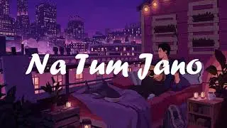WeWake - Na Tum Jano (Original Song) Lyric Video