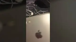 Wireless charging...on iPhone 7