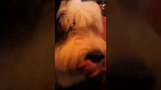 me singing undo so my bff make a YouTube channel