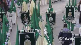 POLLINICA MALAGA 2017 