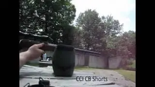 CB Caps vs long rifle at Cherry Ridge Range