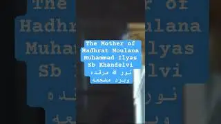 Hadhrat Moulana Fazlehaq Wadee Sahib - Daily Quran Recitation