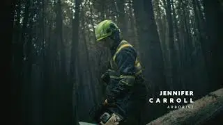Ontario government ad for skilled workers