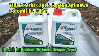Top PH Balancer,naikan ph tanah dengan cepat