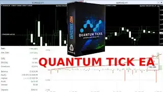 QUANTUM TICK EA REVIEW FOREX ROBOT MAKES 10-15% PROFIT MONTHLY IN 2024