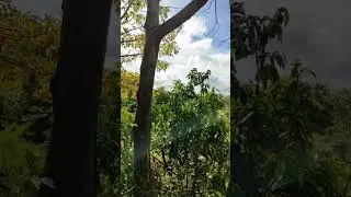 Nature | Peaceful Travel Vlog | Illuminated Adventures Live!