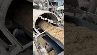 Paper Making by using Sugarcane Waste #shorts #manufacturing
