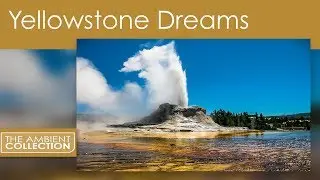 Nature DVD - The Flow Of Nature With Scenery From Yellow Stone National Park