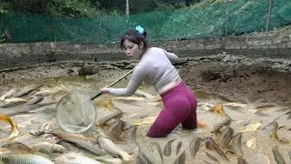 Top Video Fishing | Fishing Techniques | Drag Net To Catch Big Fish Hiding in Deep Puddle