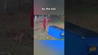 Man Saves Dog In The Best Way
