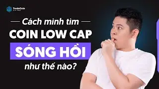 C&aacute;ch m&igrave;nh t&igrave;m coin LOW CAP s&oacute;ng hồi như thế n&agrave;o ?