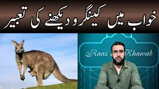 Khwab mein Kangaroo Dekhne ki Tabeer || Kangaroo in Dream Meaning || Raaz e Khawab || Urdu/Hindi