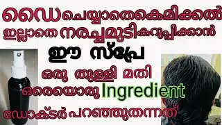 100% Natural hair dye ഡൈ ചെയ്യാതെനരച്ചമുടിസ്ഥിരമായികറുപ്പിക്കാൻഇതുമതി/get black hair naturally