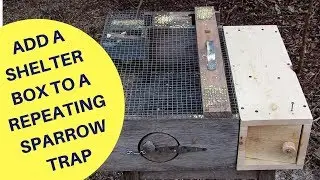 How to Add a Shelter Box to a Repeating Sparrow Trap 2018