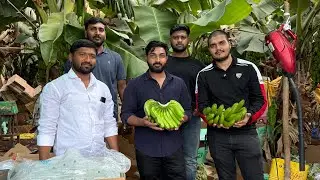 Export-grade bananas | Bulk supply | Global logistics 🍌📦Building India&rsquo;s agro export future.&rdquo;