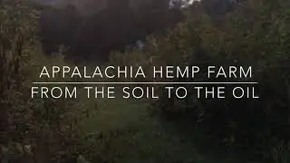 Welcome to Appalachia Hemp Farm