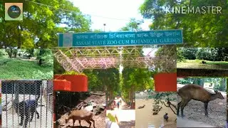 Natural Beauties and Animals inside of Assam State Zoo cum Botanical Garden,Guwahati, India. Part-01