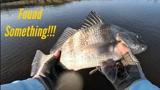 Finding Redfish and Trout!!! BEAUFORT SC-INSHORE.