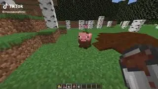 new mobs