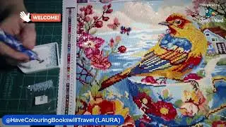 POP UP LIVE WIP COMPLETION FLUTTER AND SIP DIAMOND PAINTING FROM  DREAMER DESIGNS