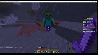 playing  in mine peak.org minecraft#with cousin