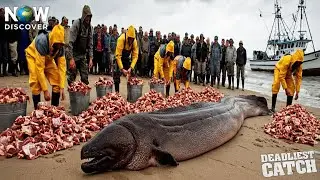 This $800 &lsquo;Reef Demon&rsquo; Might Be America&rsquo;s Healthiest Seafood And More... | Fishing Documentary