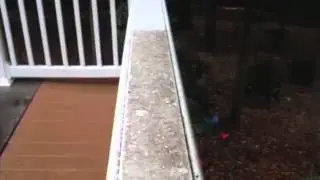 Roof Cleaning East Prospect PA | Pressure Washing PA