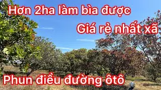 Cần chuyển nhượng gấp lô đất phun điều kinh doanh làm được sổ luôn giá đảm bảo giá nhất xã