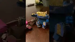 Updated dricera and stegotchi