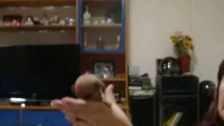 cucciolate