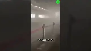 🚄 Сверхскоростной пассажирский экспресс в Японии