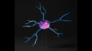 Wayne Strattman- Neurons