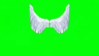 Green Screen Angel Wings video effects 2021