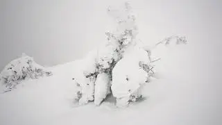48 nuances de blanc