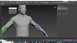 Converting custom FBX to Biped Using maxscript