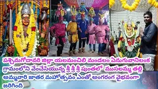 Narasapuram Yenuguvanilanka village lo Punthalo Musalamma Talli Jatara 2026