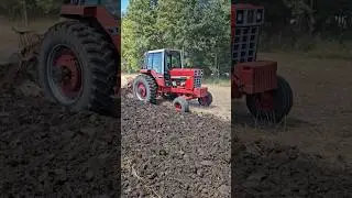 IH 986 Plowing! #farmmachinery #caseih #farming #shorts