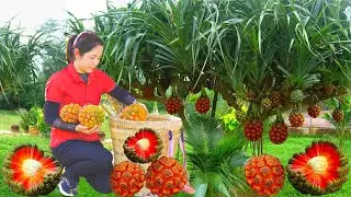 Harvesting Wild Pineapples by the Stream & Seasonal Fruits from the Farm 💖 | Farm Life Tropics🌿 4K