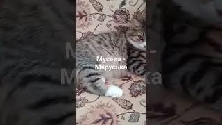 продам