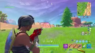 Casual Fortnite (Rip Gold Ak)