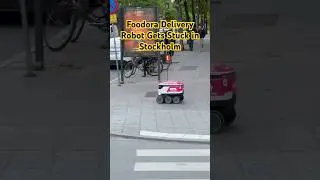 Foodora Delivery Robot Gets Stuck in Stockholm Traffic &mdash; You Won&rsquo;t Believe What Happened!