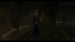 Mages Guild Duties Find the Telvanni Spy and report to Ranis Athrys. The Elder Scrolls III Morrowind