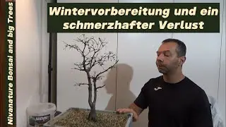 Schmerzhafter Verlust/Wintervorbereitungen/kleiner Ausblick 2025 - 2
