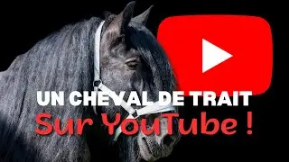 Première vidéo YouTube 🖤 | A cru, ostéo… et une piqûre !