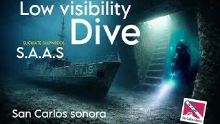 #SCUBADIVE  #SANCARLOS  SAAS ARTIFICIAL REEF