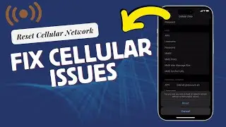 Fix Cellular Issues on iPhone 15 by Resetting Cellular Network Settings