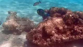 What was underwater at Lakeside, Ningaloo, Exmouth, Western Australia, Australia