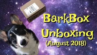 DERPY DIXIE THE CORGI - BarkBox Unboxing (August 2018)