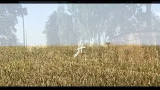 Almost American - 'Feelings' (Official Audio)