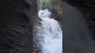 Springtime at Margaret Falls #nature #Spring #waterfall